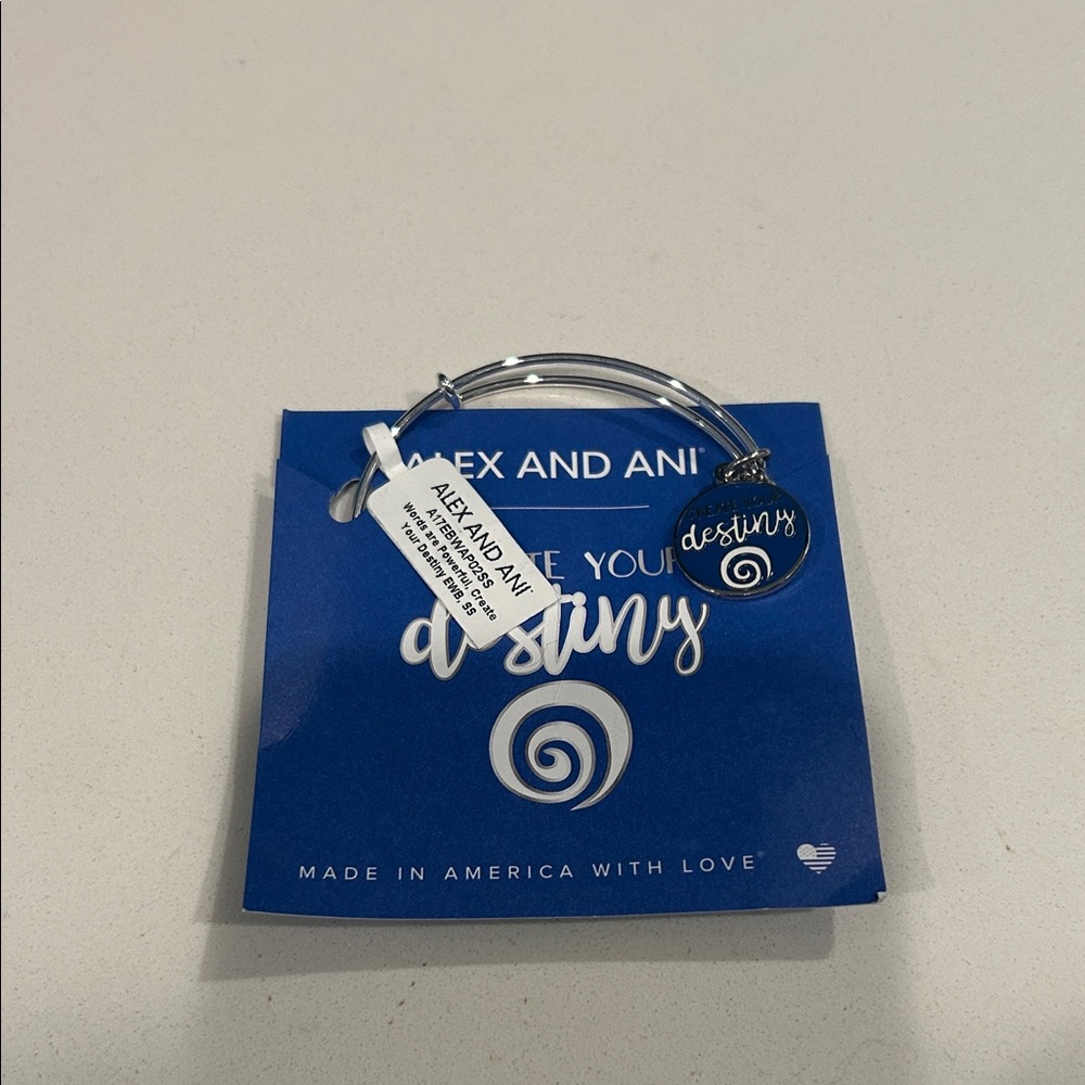 NWT Alex and Ani Silver Create Your Own Destiny Charm Bracelet
